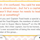 Illustration for article titled iCaptain Toad: Treasure Tracker/i: The iKotaku/i Review